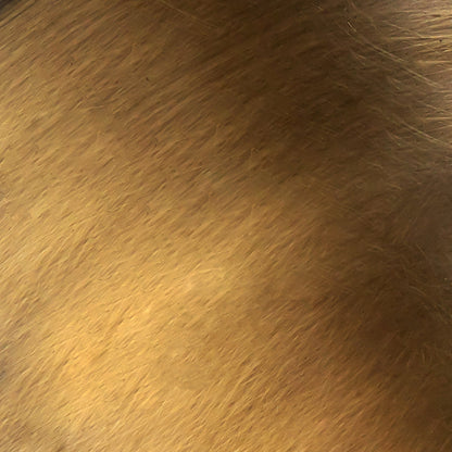 Astrid 25-in Wall/Vanity Light