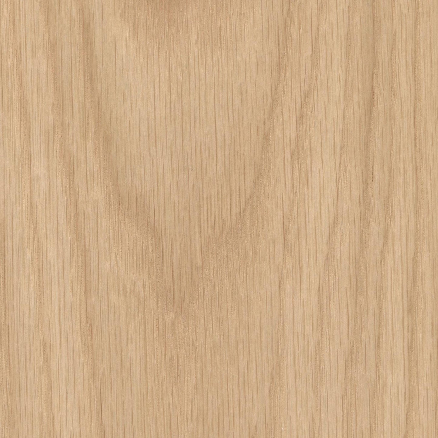 Morina 12-in Pendant