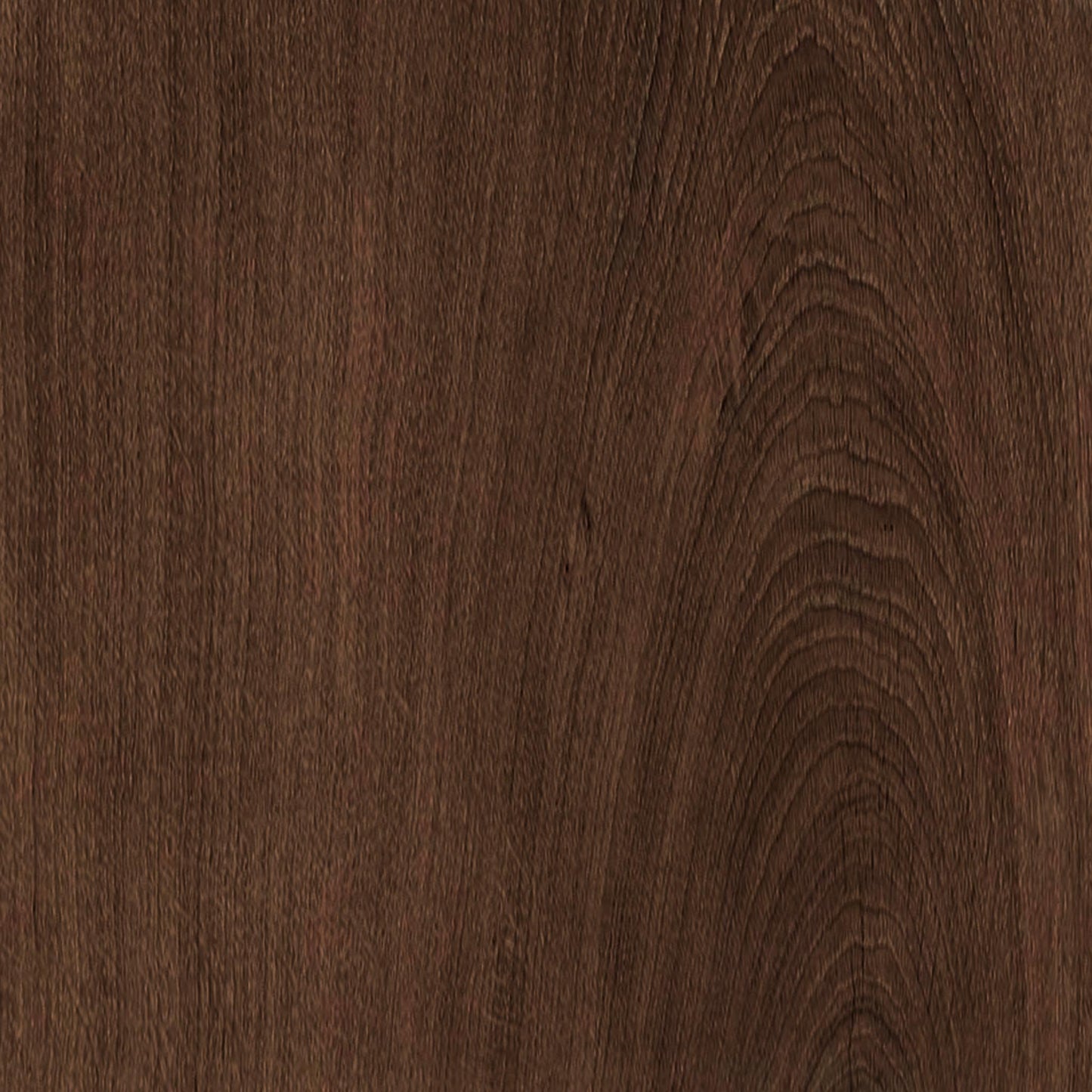 Dottie 18-in Wall/Picture Light