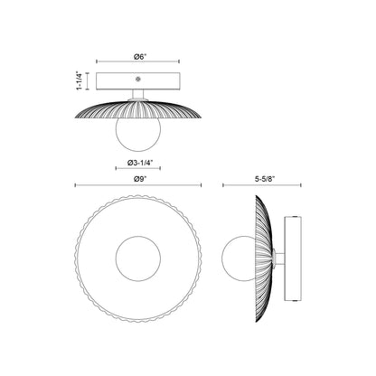 Hera 9-in Wall/Vanity Light